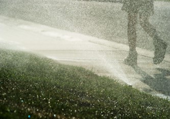 Water plants and not pavement