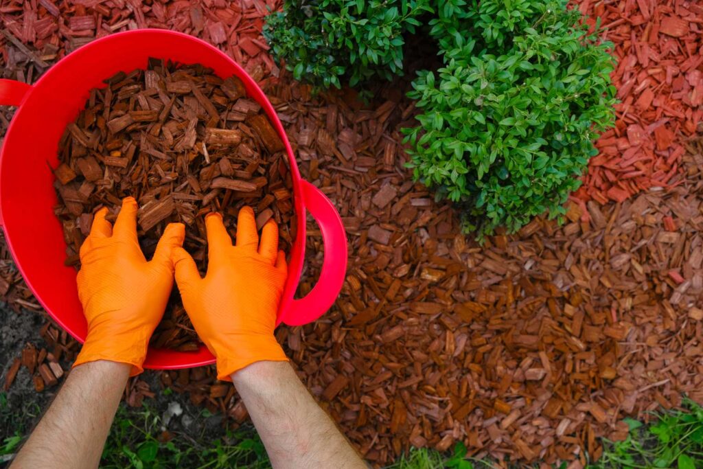 Gloved hands spreading mulch in yard