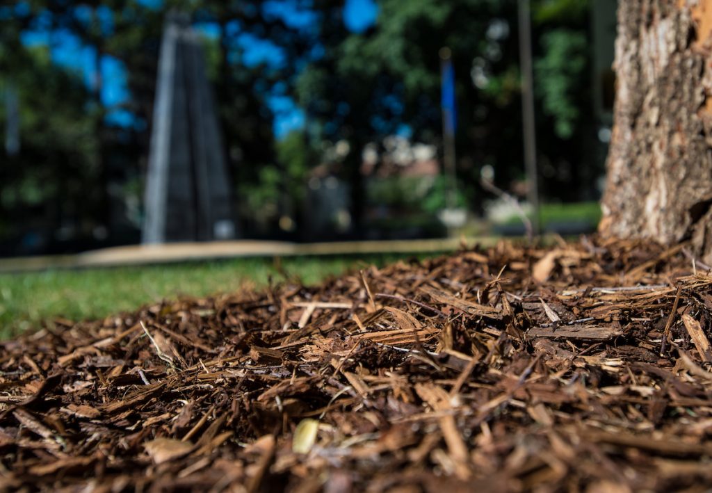 The basic benefit of mulch is its ability to retain moisture near the base of trees and plants. Mulch located around the base of a tree at the California State Capitol grounds. Photo taken June 30, 2014.
