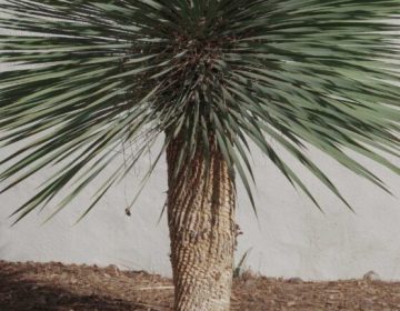 xr:d:DAGCOkDwLkE:3,j:8059616195654729919,t:24041218