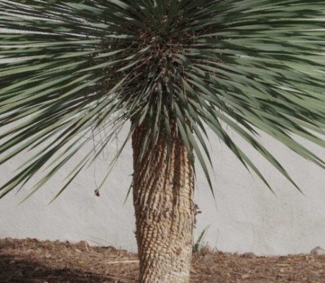 xr:d:DAGCOkDwLkE:3,j:8059616195654729919,t:24041218