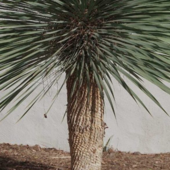 xr:d:DAGCOkDwLkE:3,j:8059616195654729919,t:24041218