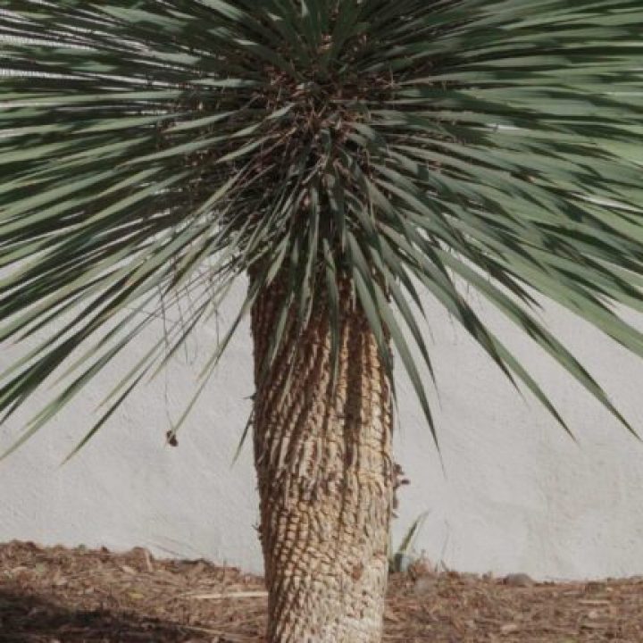 xr:d:DAGCOkDwLkE:3,j:8059616195654729919,t:24041218