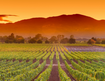 Cesar-Chavez-Day-Blog-1200-x-628-px-1024x536