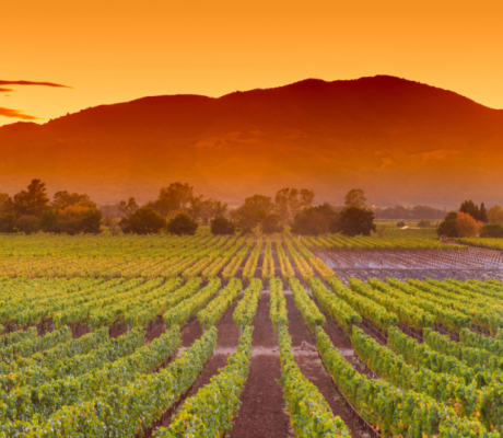 Cesar-Chavez-Day-Blog-1200-x-628-px-1024x536