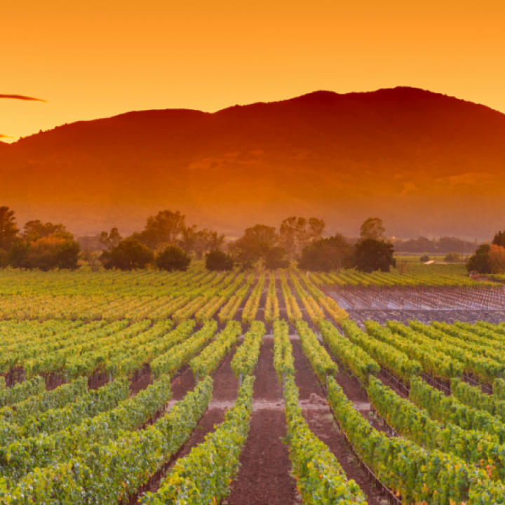 Cesar-Chavez-Day-Blog-1200-x-628-px-1024x536