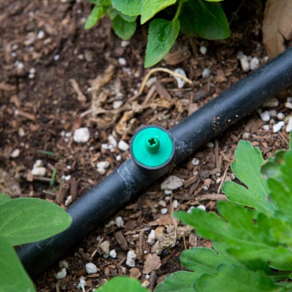 DripIrrigation-scaled