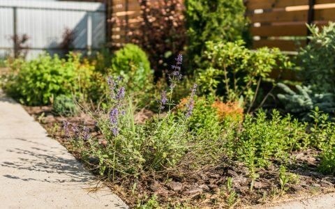 GettyImages-1528538975