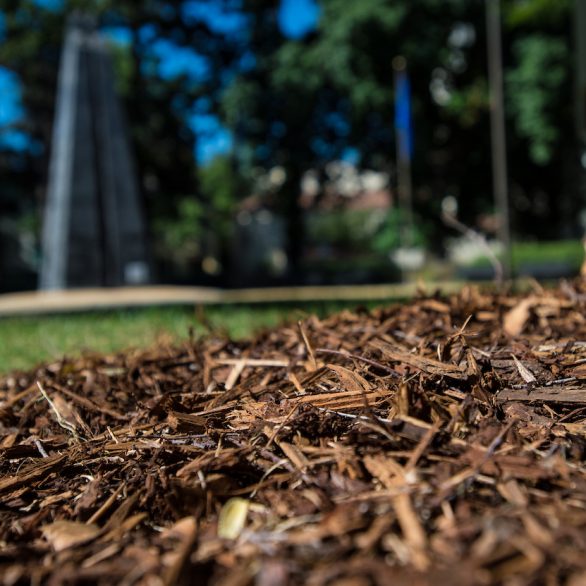 The basic benefit of mulch is its ability to retain moisture near the base of trees and plants. Mulch located around the base of a tree at the California State Capitol grounds. Photo taken June 30, 2014.