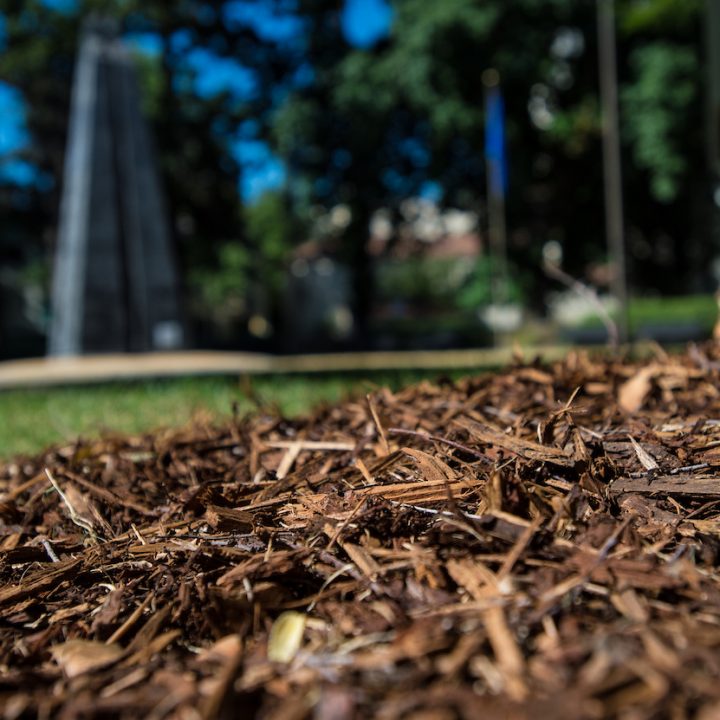 The basic benefit of mulch is its ability to retain moisture near the base of trees and plants. Mulch located around the base of a tree at the California State Capitol grounds. Photo taken June 30, 2014.