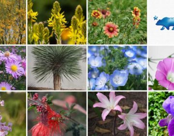 Primavera: Entre flores y consejos