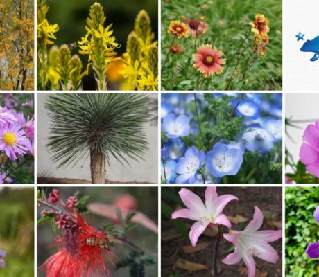 Primavera: Entre flores y consejos