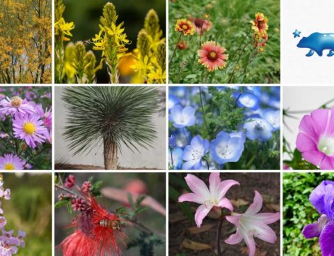 Primavera: Entre flores y consejos