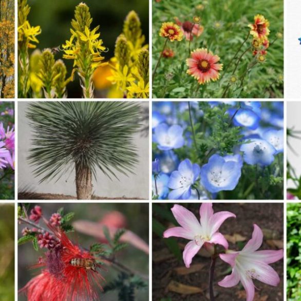 Primavera: Entre flores y consejos