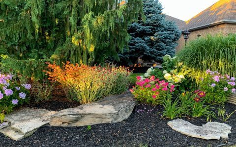 iStock-1323942539_Crop