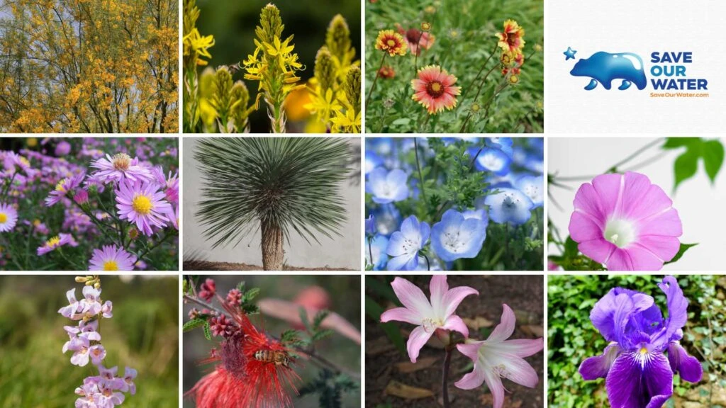 Official Start of Spring